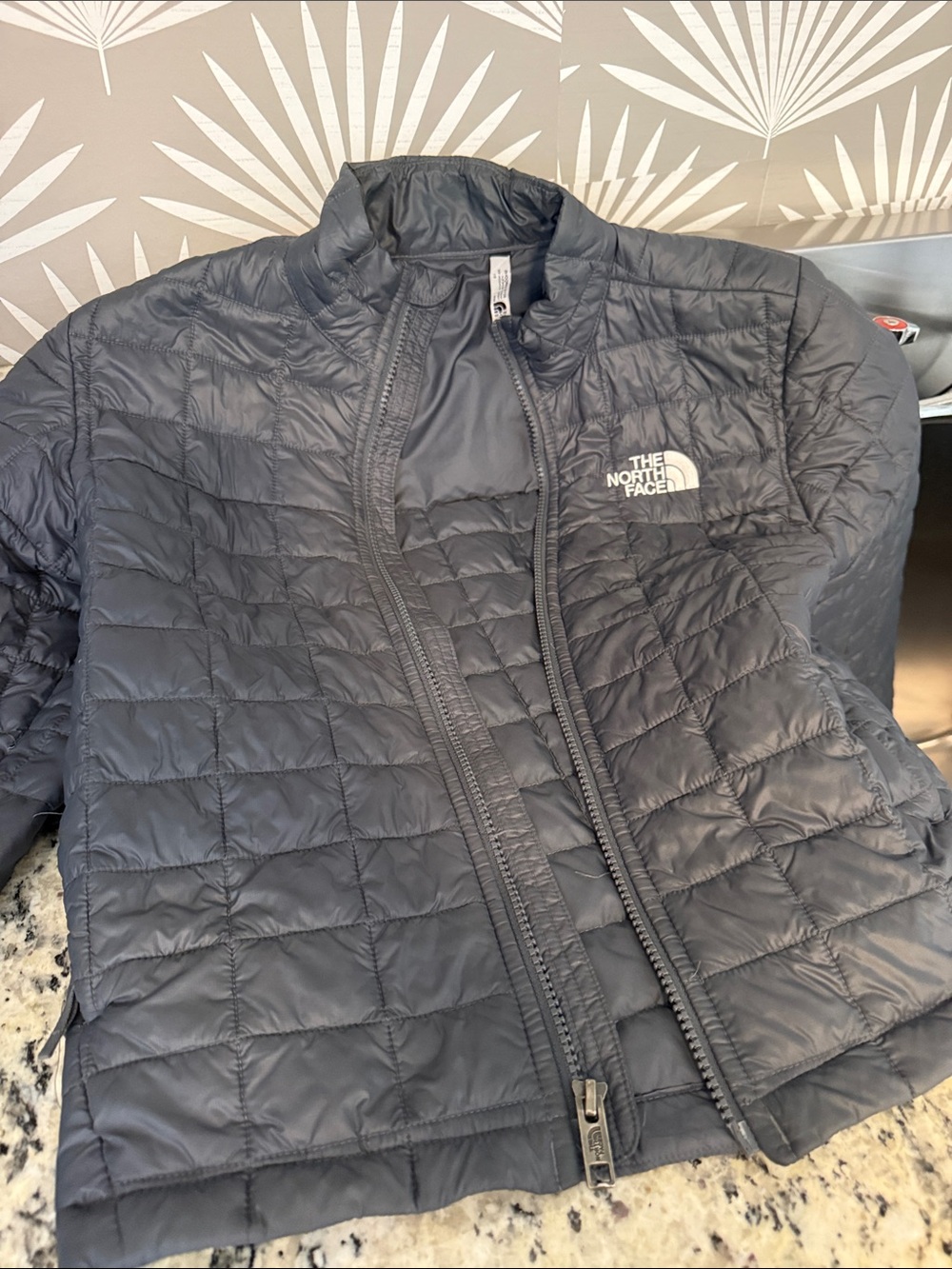 The North Face Women's Black Quilted Puff Jacket